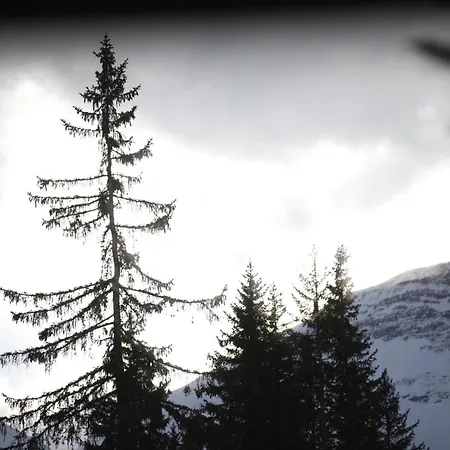 Шале Haus Obdr *