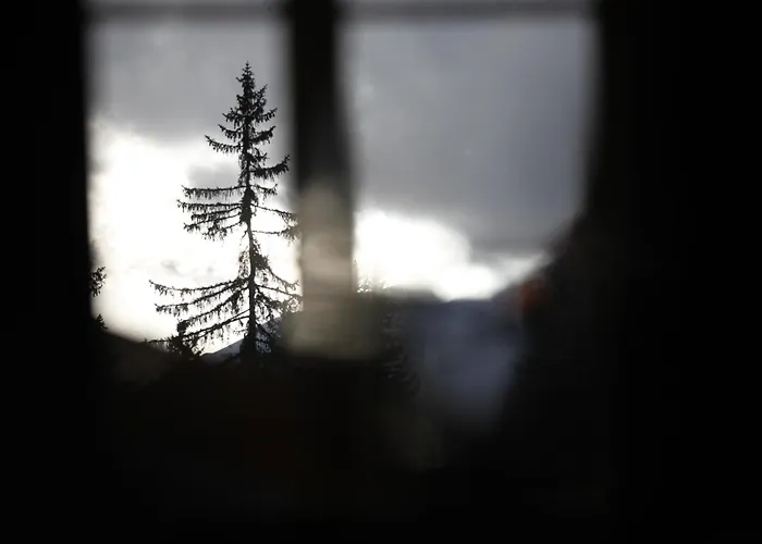 Haus Obdr 레흐암 아르베르크